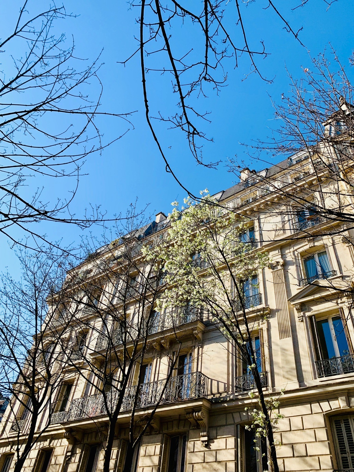Immeuble haussmannien parisien sous ciel bleu